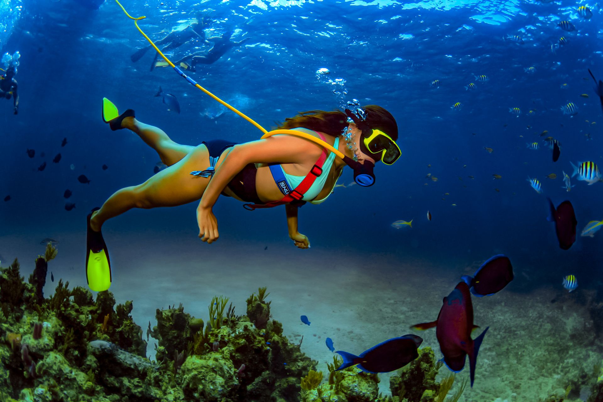 snorkeling1