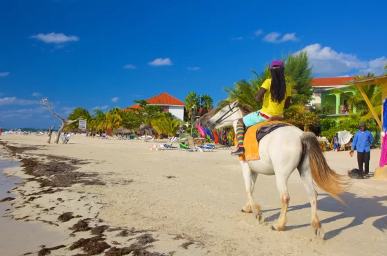 Negril Seven Mile Beach & Rick’s Café Tour From Montego Bay
