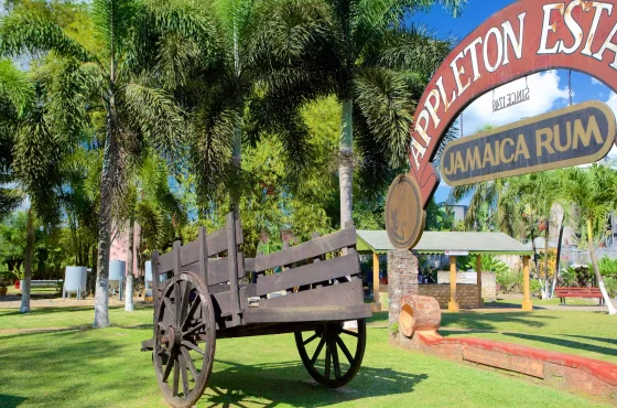 Appleton Estate Rum Factory Tour St. Elizabeth from Montego Bay