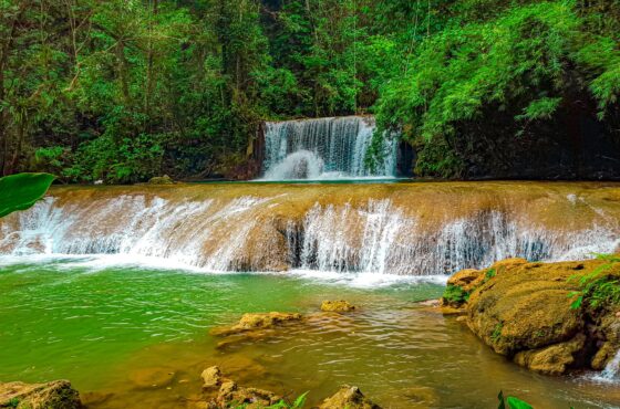 Mayfield Falls Tour Westmoreland from Negril
