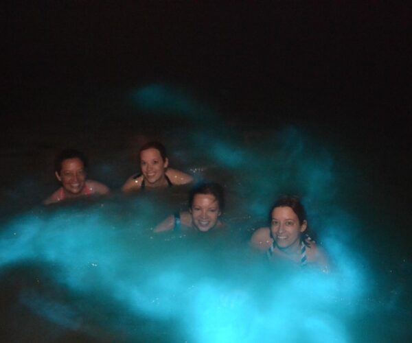 Luminous Lagoon Tour Falmouth From Montego Bay