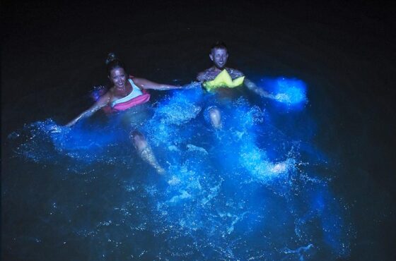 Luminous Lagoon Tour Falmouth From Negril