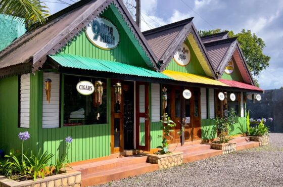 Bob Marley Nine Mile and Dunn’s River Falls Tour Ocho Rios From Montego Bay